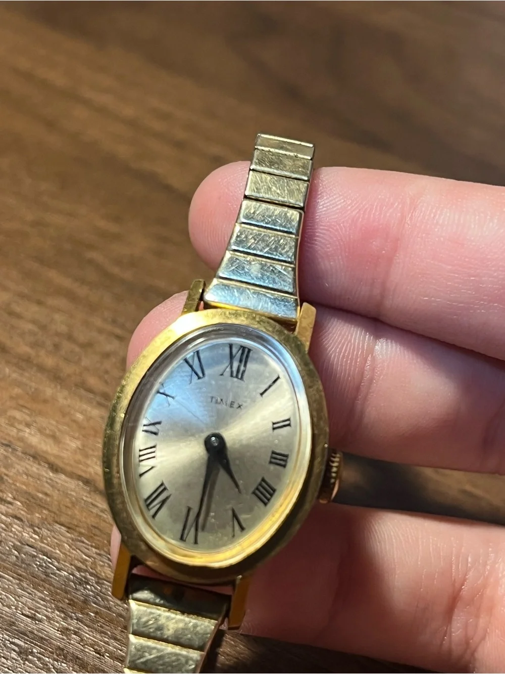 Vintage Timex Watch